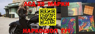 гидропоника Дубна