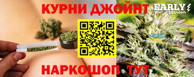 гидропоника Дубна