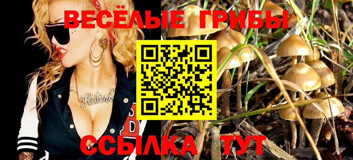 Псилоцибиновые грибы MAGIC MUSHROOMS  Вход с VPN  Лесосибирск 